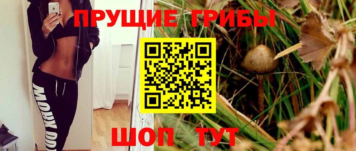 Псилоцибиновые грибы MAGIC MUSHROOMS  Вход с VPN  купить закладку  Новокуйбышевск 