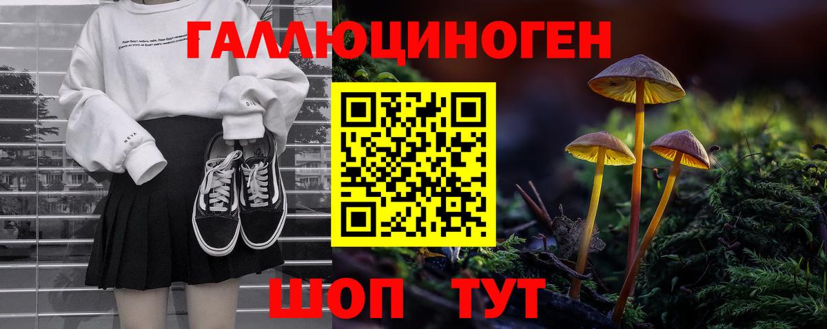 Псилоцибиновые грибы Magic Shrooms Новокуйбышевск